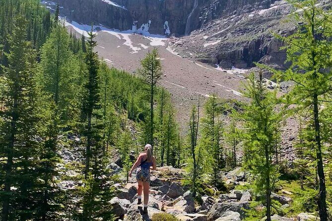 Premium Guided Hiking tours in Banff, Yoho & Kootenay - Final Thoughts: Who Will Love This Tour?