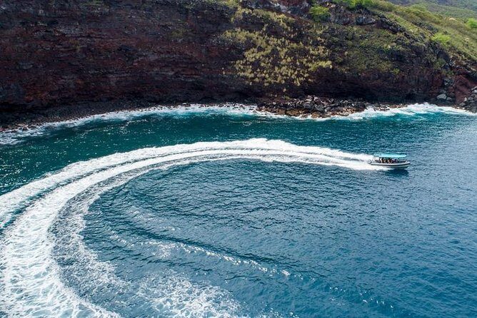 Premium Kona Coast Morning Snorkel - The Experience from the Guides and Boat