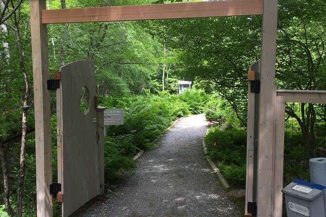 Premium Narrated Bus Tour of Bar Harbor and Acadia National Park (3.5 Hours) - The Guide and Narration: Why It Matters