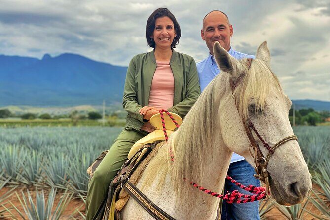 Premium Private Tequila Tour - The Highlights That Make This Tour Stand Out