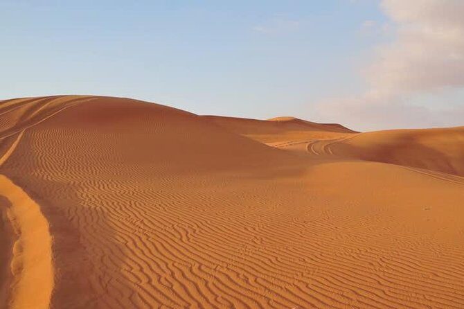 Premium Red Dunes Safari and Camel Safari with BBQ Dinner - The Itinerary in Detail