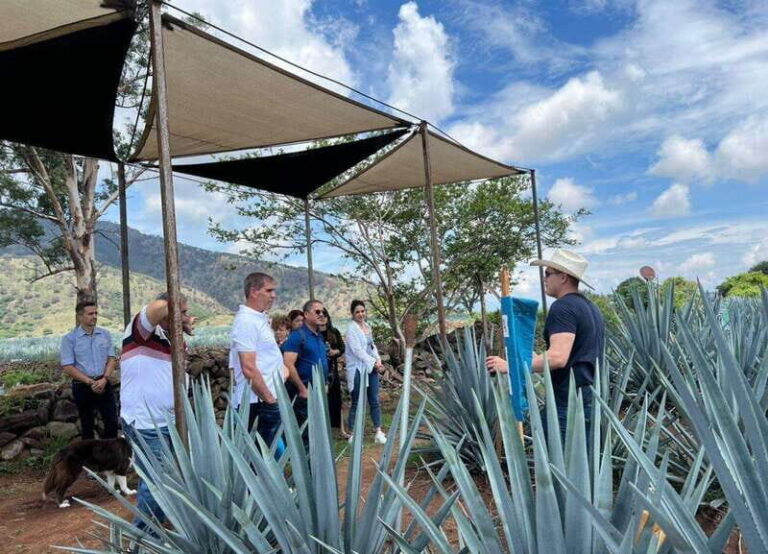 Premium Tequila Route with professional tasting - Final thoughts