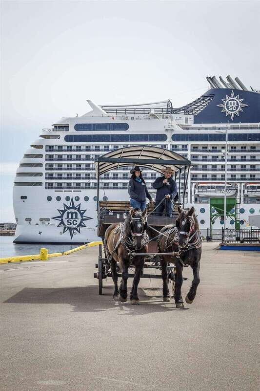 Prince Edward Island: Horse-Drawn Carriage Tour - Exploring Charlottetown on a Horse-Drawn Carriage