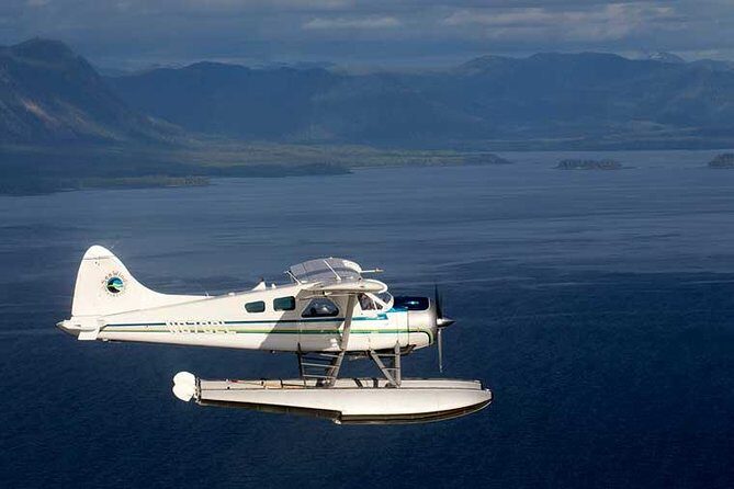 Prince of Wales Island Bear-Viewing Tour By Air From Ketchikan - Landing on Prince of Wales Island and Bear Viewing