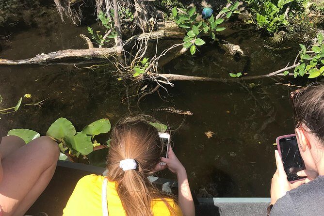 Private 1.5-Hour Airboat Tour of Miami Everglades - Authentic Experiences from Traveler Reviews