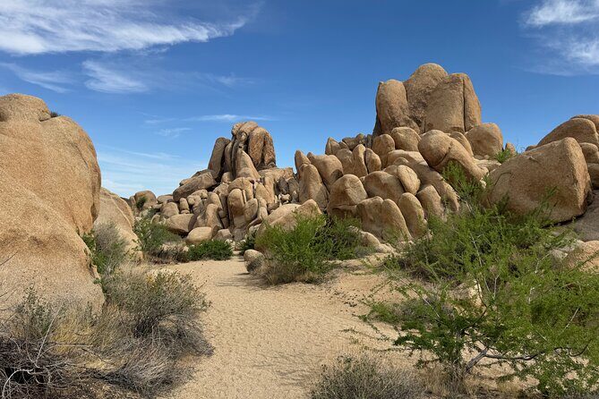 Private 1 Day Tour to Joshua Tree National Park - A Close Look at the Itinerary