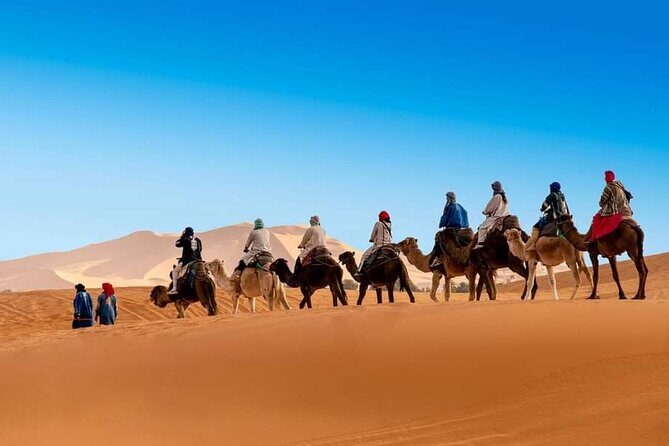 Private 11 Day Tour From Casablanca Imperial Cities Sahara Desert - FAQs