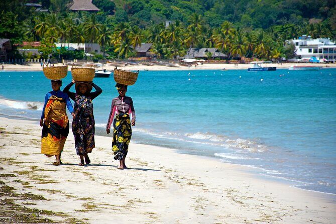 Private 14-Day Classic Route Tour in Madagascar - Days 7-8: Rainforests and Lemur Encounters in Ranomafana
