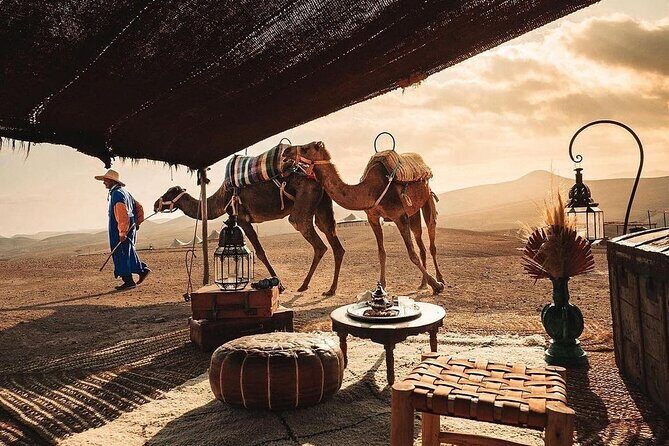 Private 2 Day Tour Casablanca to Marrakech with night in Desert - What Travelers Are Saying