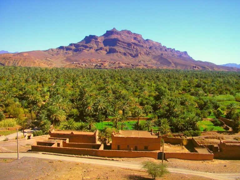 Private 2-Day Tour to Zagora Desert with Food & Camel Ride. - The Morning After: Sunrise and Return Journey