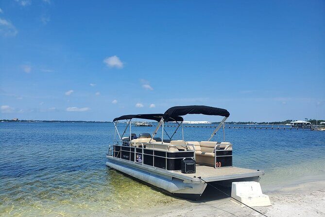 Private 2-Hour Dolphin and Sightseeing Tour - Who This Tour Is Best For