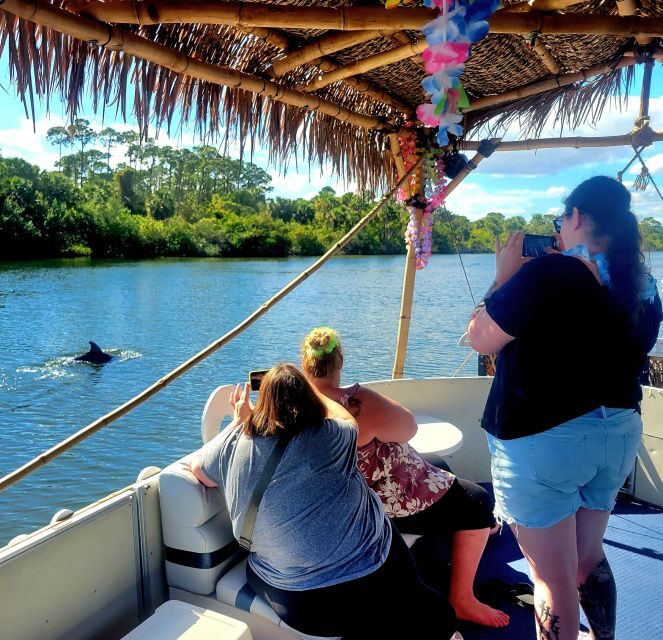 Private 2 hour Dolphin Sightseeing tour- Melbourne - An In-Depth Look at the Tour Experience