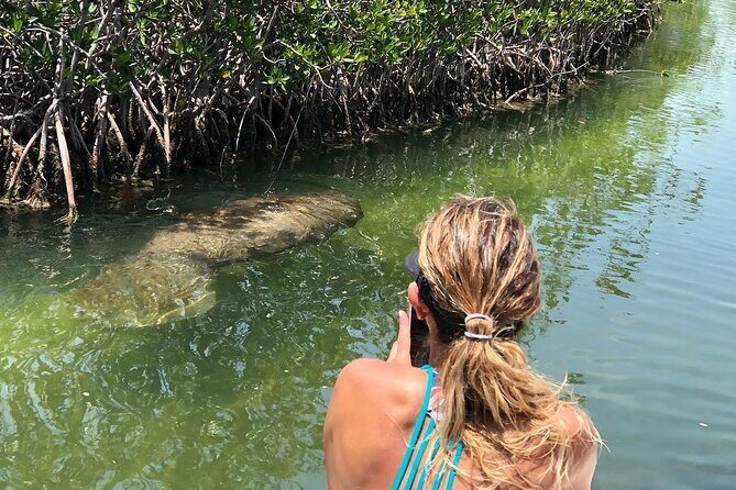 Private 2 hour Mangrove Ecotour - FAQ