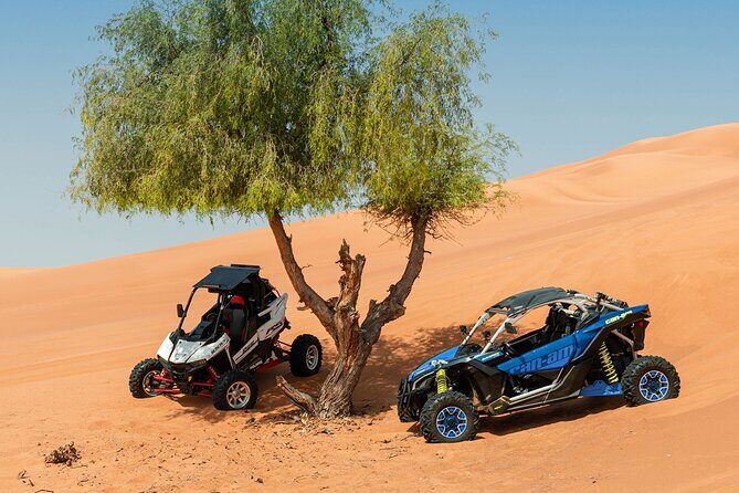 Private 2-Seater Buggy Experience in Dubai - Practical Details & Value