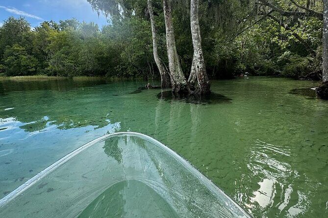 Private 2Hour Clear Kayak/ROC Paddle Board Rental on Silver River - What to Expect: The Details