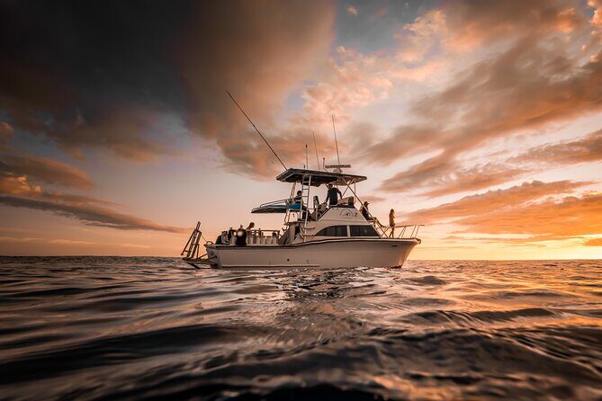 Private 3.5 hr Snorkel Charter in Waikiki - The Value of the Experience