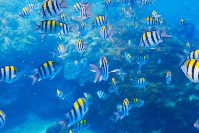 Private 3-Hour Snorkeling Tour with Arch Tour and Beach Time - What the Reviews Say