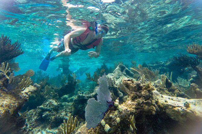 Private 3 in 1 Discovery Combo Tours Tulum Ruins, Snorkeling & Cenotes Adventure - Why This Tour Offers Great Value