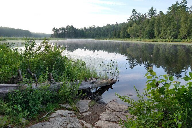 Private 4 Day Algonquin Park Backcountry Canoe Trip - Why Choose This Experience?