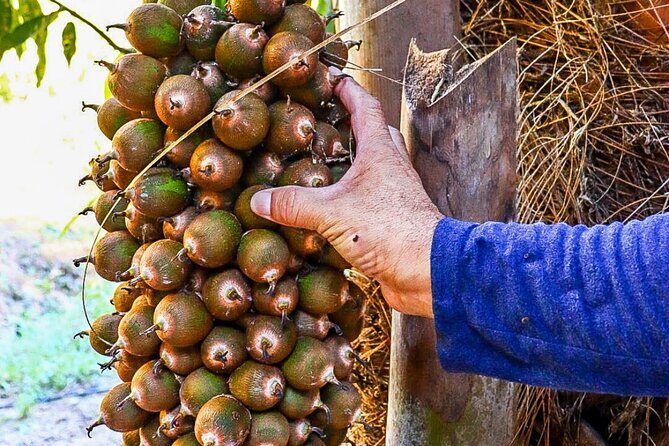 Private 4 hour Hiking Adventure + Breakfast in Nogalito Ecopark - FAQ