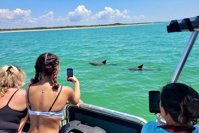 Private 4 Hour Shell Key Island Adventure Dolphins and Shells - Why It’s Worth Considering