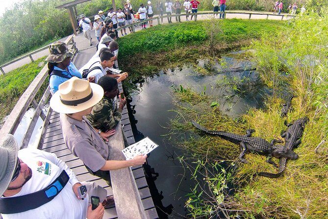 Private 4-hour Tour of Everglades from Miami Dade - What You Can Expect During the Tour