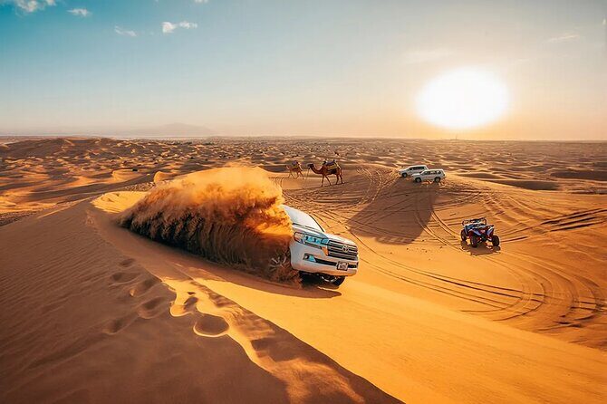 Private 4Hours Red Dunes Safari Camel Ride ,Falcon & Dune Thrills - Authenticity and Cultural Encounters