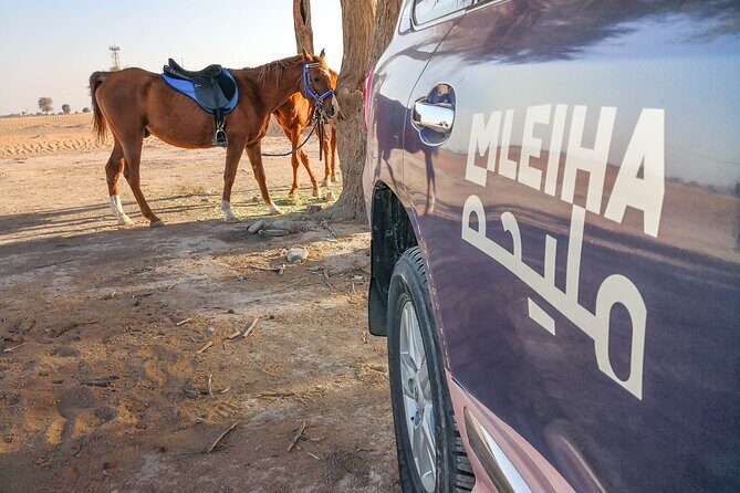 Private 4x4 Mleiha Desert Safari Horse Riding with Museum Visit - Who Is This Tour Best For?
