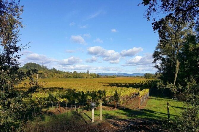Private 5 day California Vineyards, Waves and Wine Tour - Day 2: Coastal Serenity at Tomales Bay State Park
