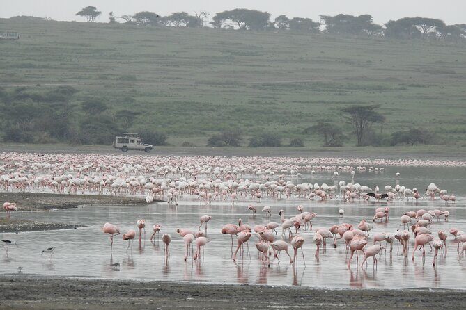 Private 5 Days Camping Tour in Serengeti National Park - In-Depth Look at the Itinerary