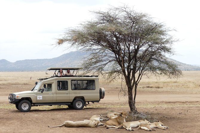 Private 6-Day Tarangire Manyara Crater and Serengeti with Mid-Range Lodges - Who Would Love This Safari?