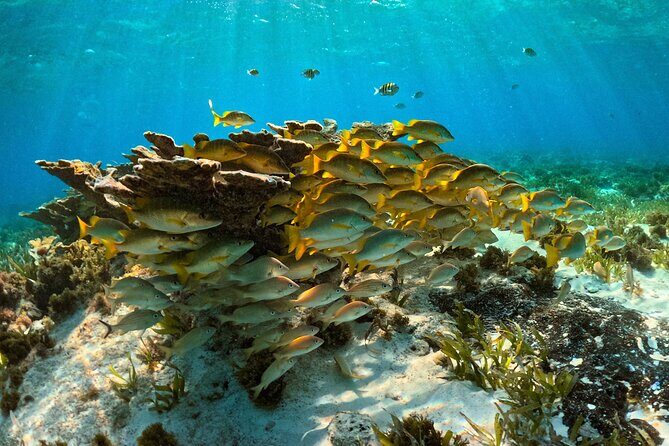 Private 6 Hours Yacht, Cancun to Isla Mujeres - Why This Tour Stands Out