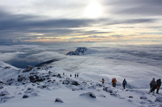 Private 8-Day Kilimanjaro Trek on Lemosho Route from Moshi - The Itinerary in Depth: What to Expect Each Day
