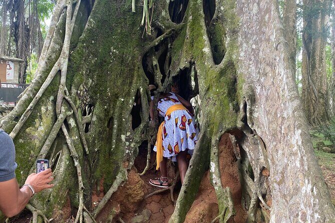 Private Aburi Hill Guided Tour - Final Thoughts: Who Will Love This Tour?