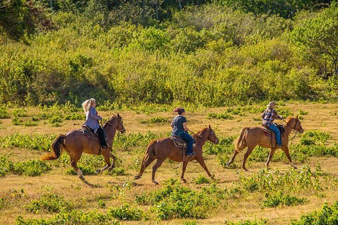 Private Advanced Trail Ride - The Sum Up