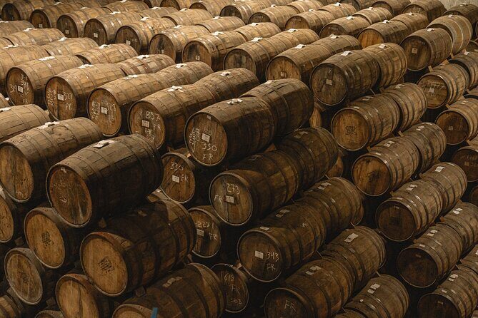 Private Adventure Day Tour to Tequila and Cazcanes Distillery - Who Should Consider This Tour?