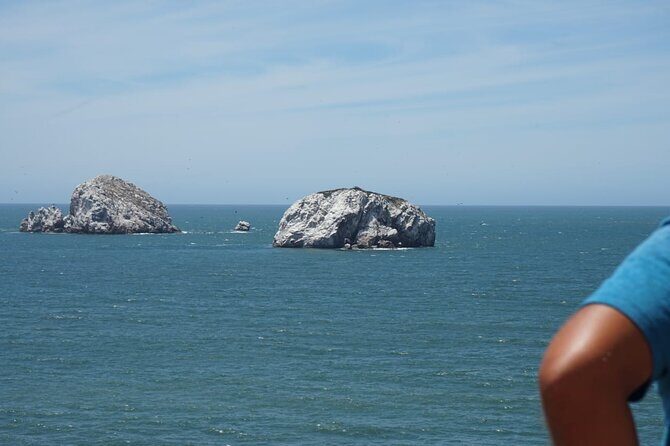 "Private Adventure in Pneumonia by Mazatlan" - The Sum Up: Is It Worth It?