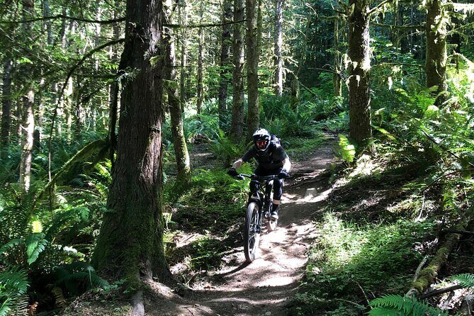 Private Adventure Mountain Biking in Seattle's Eastside - The Trail Experience