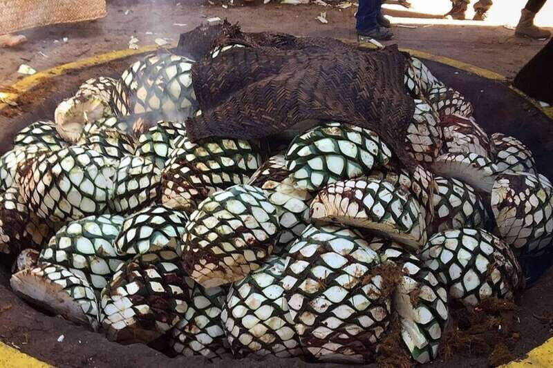 Private Adventure to Tequila and el Cascahuin Distillery