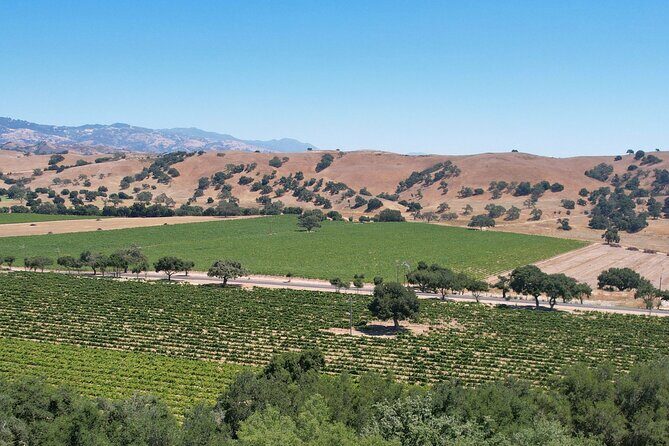 Private All-Inclusive 3-Winery SYV Tour from Santa Barbara - The Guide and Group Size