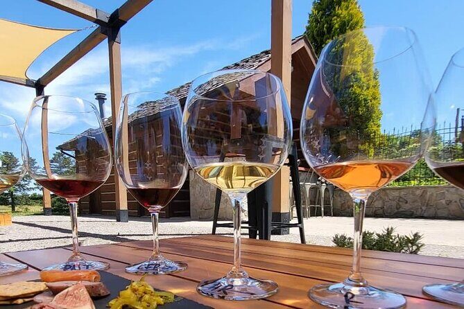 Private and Exclusive Winery Tour with a Wine Expert - In-Depth Breakdown of the Itinerary