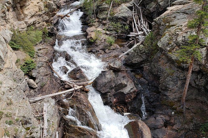 Private and Personalized Three Hour Morning Tour of Rocky Mountain National Park - Why This Tour Works Well