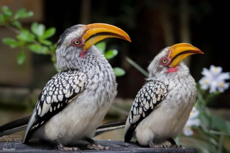 Private Animal Lovers Tour  Half Day - Why This Tour Offers Great Value