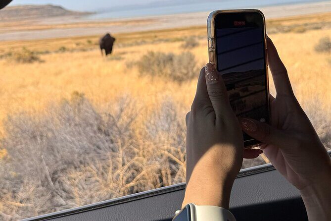 Private Antelope Island & Great Salt Lake Tour - Practical Details and Tips