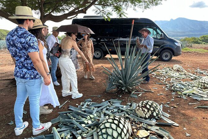 Private Artisanal Tequila Tour - Deep Dive into the Itinerary