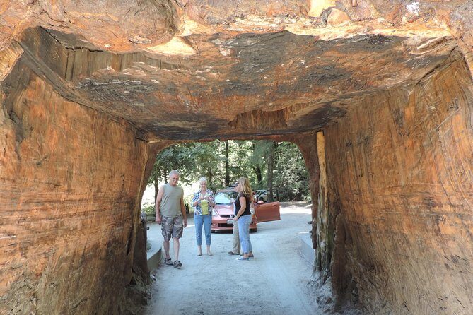Private Avenue of the Giants Redwoods Day Trip from San Francisco - Who Will Love This Tour?