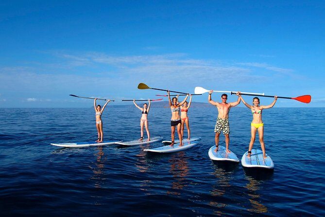 Private Beginner Paddleboard 101 Lesson: Polo Beach, Turtle Town - Practical Details & Tips