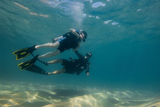 Private Beginner Scuba Diving Experience in Cabo San Lucas - The Dive Itself: What You Might See