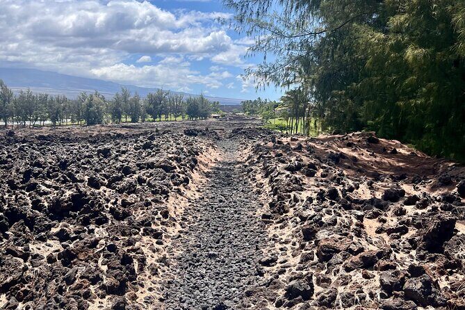 Private Big Island: History & Local Market Tour (Up to 12) - What We Think and Who It’s For