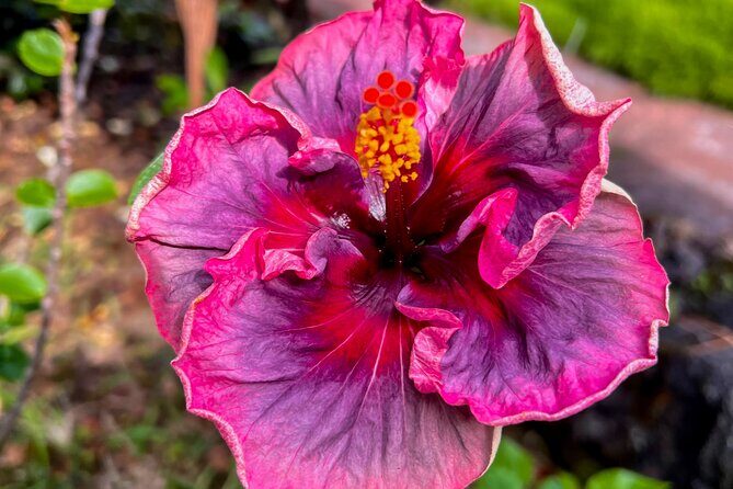 Private Big Island: History & Local Shopping Tour - Exploring the Big Island’s Heart: A Detailed Look